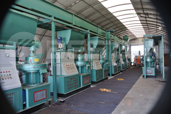 Biomass Pellet Making Machine in the US