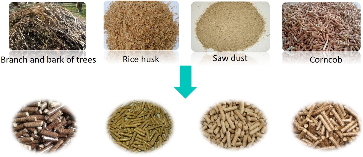 Biomass Pellets Made by Beston Biomass Pellet Mill