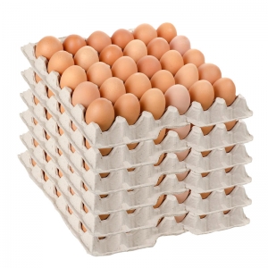 Use Automatic Egg Tray Machine to Make Egg Trays