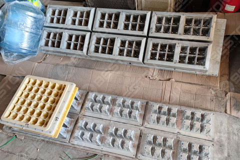 Seedling Tray Mold Die